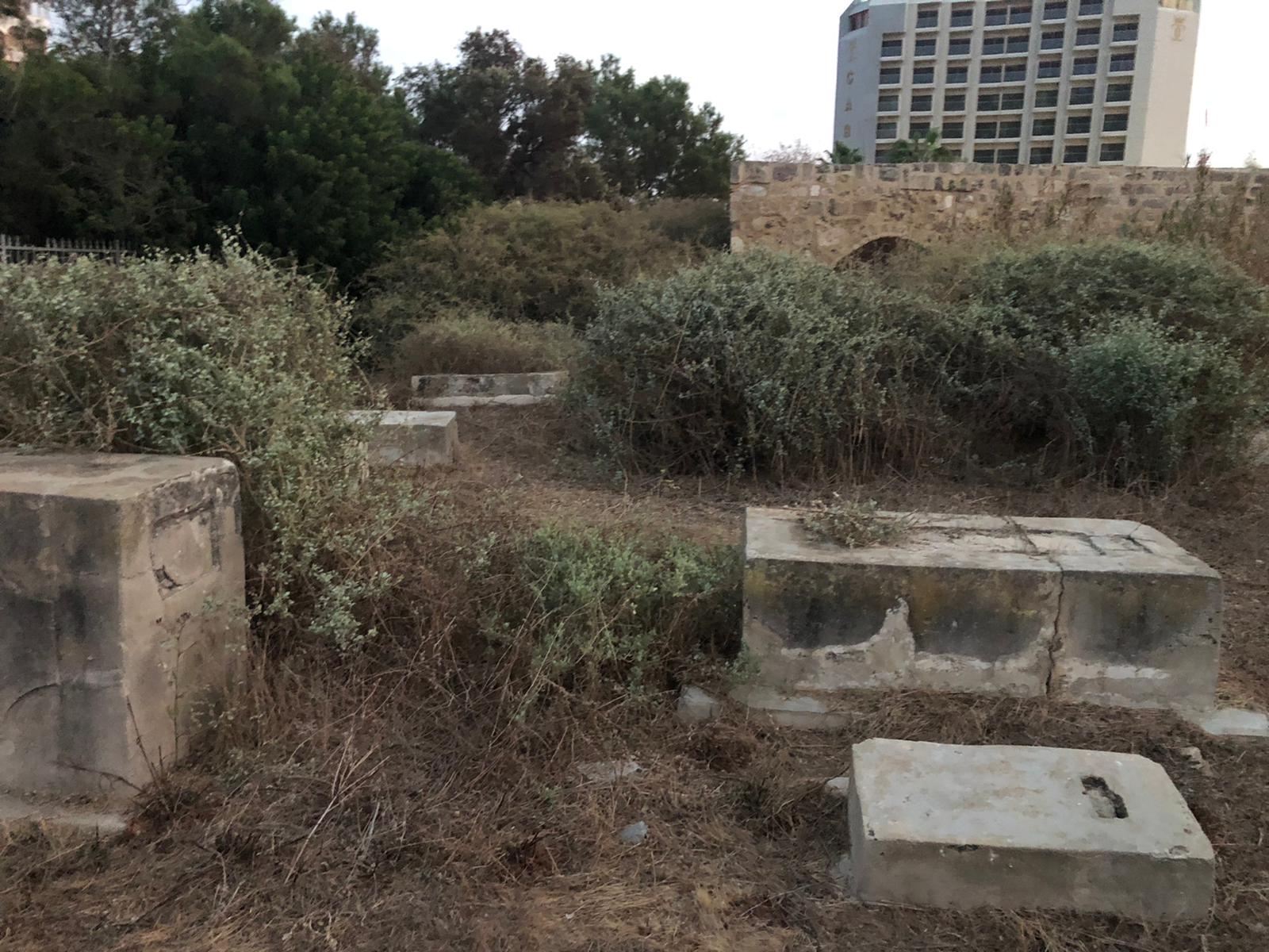 WhatsApp Image 2020-12-03 at 5.57.06 AM.jpeg.jpeg